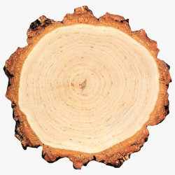 木头截面卡其色表面纹理模糊的木头截面实高清图片