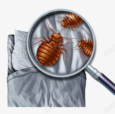 床上的螨虫png免抠素材_88icon https://88icon.com 卫生 扩大镜 细菌