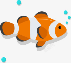 吐泡泡的小金鱼海洋生物吐泡泡的鱼高清图片