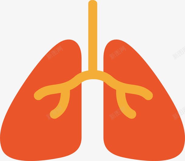 肺部器官png免抠素材_88icon https://88icon.com 体检 做实验 卡通 生物医药 红色的 肺部 肺部图案 诊疗