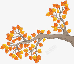 手绘植物插画秋日树枝叶素材