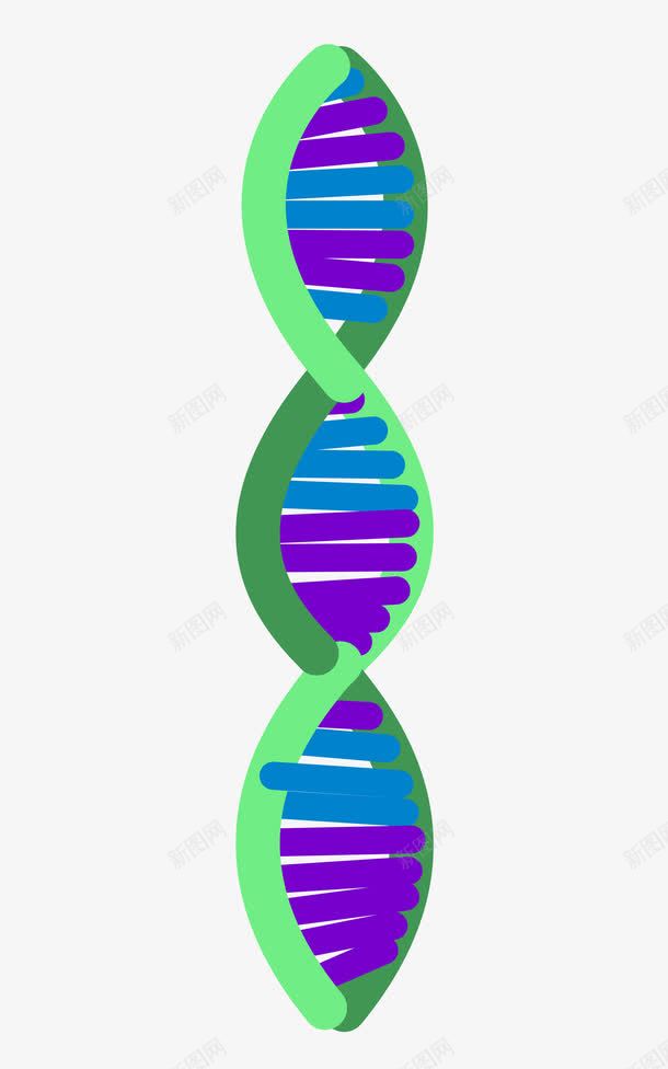 螺旋结构生物学png免抠素材_88icon https://88icon.com DNA 生物学 研究 科学 脱氧核糖核酸 螺旋 螺旋线 遗传学