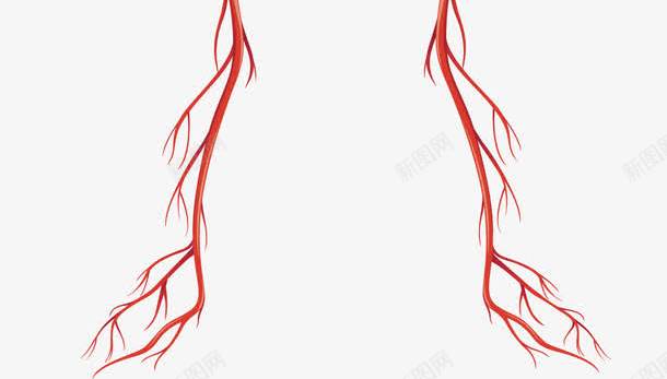 人体血液循环系统png免抠素材_88icon https://88icon.com 人体构造 人形轮廓 动静脉 血液循环 血液系统