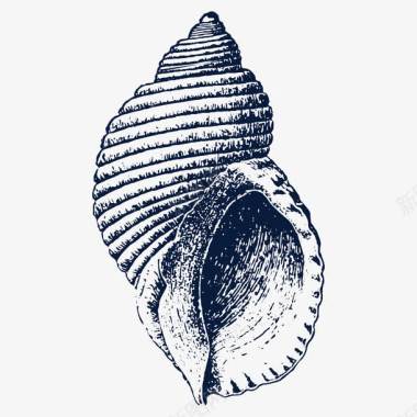 欧式花纹手绘黑色海螺田螺素描图标图标