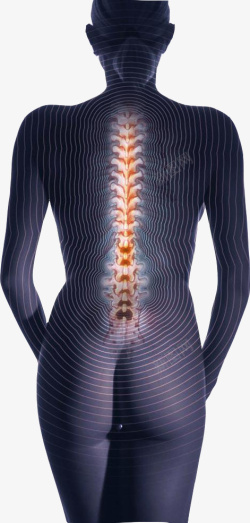 女性的背部脊椎图素材