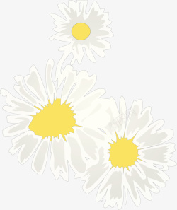 鲜艳花瓣白色雏菊矢量图高清图片