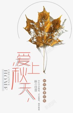 枯萎的枫叶爱上深秋海报高清图片