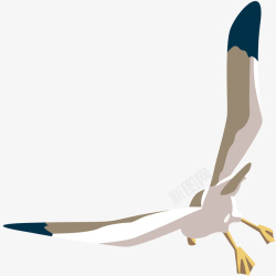 翱翔的海鸥翱翔的海鸥插画高清图片