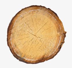 树木裂纹黄色带木屑和裂痕木头截面实物高清图片