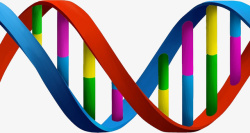 卡通彩色DNA结构图素材