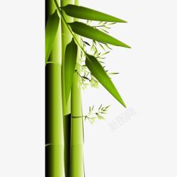 竹炭绿色竹子矢量图高清图片