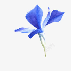 一朵手绘的蓝色兰花矢量图素材