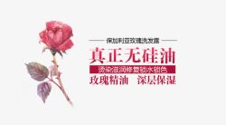 深层杀菌真正无硅油高清图片