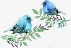 手绘小清新蓝色的鸟和树枝素材