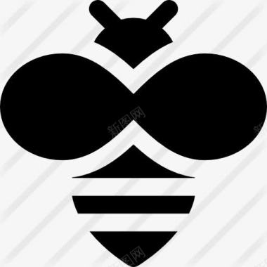 昆虫设计蜜蜂图标图标