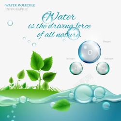 水滴与植物环保素材
