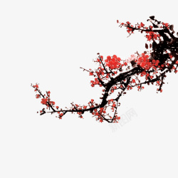 红色寒梅梅花花枝高清图片