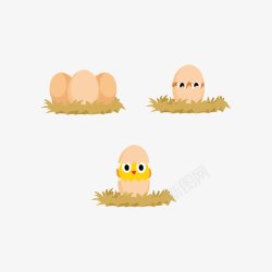 孵化小鸡孵化简笔画高清图片