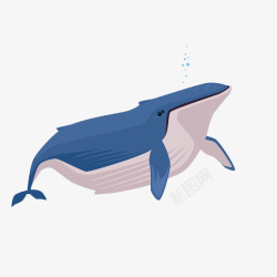 卡通一只可爱的巨大蓝色座头鲸插素材