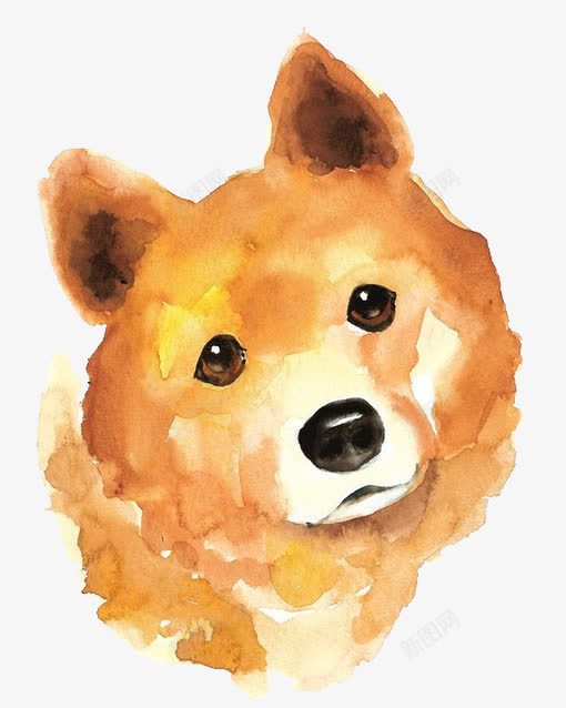 水彩柴犬png免抠素材_88icon https://88icon.com 可爱 柴犬 漫画