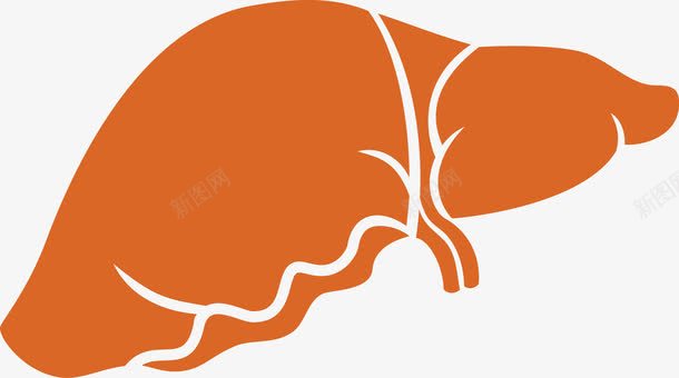 渔网免扣图卡通肝脏器官图标图标