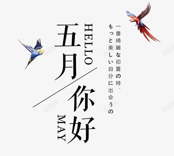 五月你好特惠促销png免抠素材_88icon https://88icon.com May hello 五月 五月你好 五月特惠 你好5月 你好五月 夏上新 夏天 夏季 夏季新品 夏日促销 小鸟 文字排版