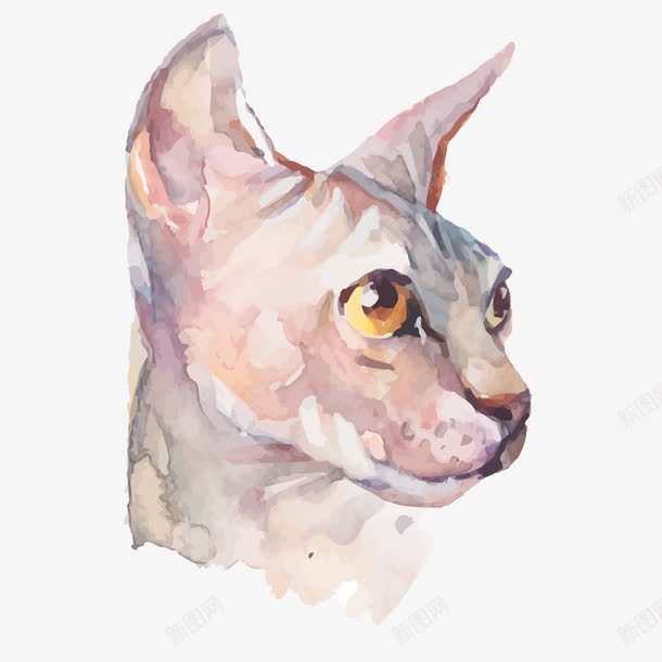 水彩猫咪头像图png免抠素材_88icon https://88icon.com 严肃 动物 卡通手绘 可爱 宠物 水彩 猫咪 猫咪头像 眼睛