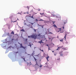 紫色温馨绣球花素材