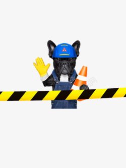 宠物狗安全职业小狗高清图片