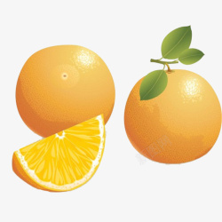 卡通两个香橙和橙子瓣素材