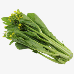 一把新鲜的开花广东白菜苔食物免素材