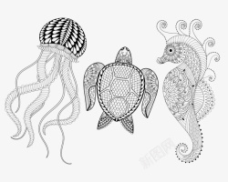 黑色龟壳乌龟海洋生物黑白图腾线稿高清图片