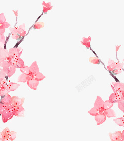 粉色樱花节樱花装饰图案素材