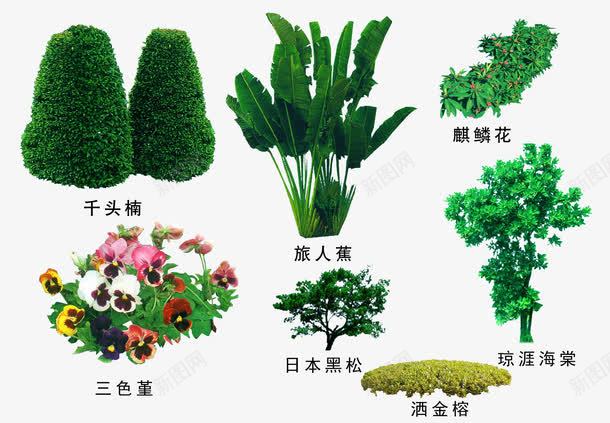 绿色植物png免抠素材_88icon https://88icon.com 3D贴图 效果图元素 盆景 绿化 绿化带 绿植 绿色植物