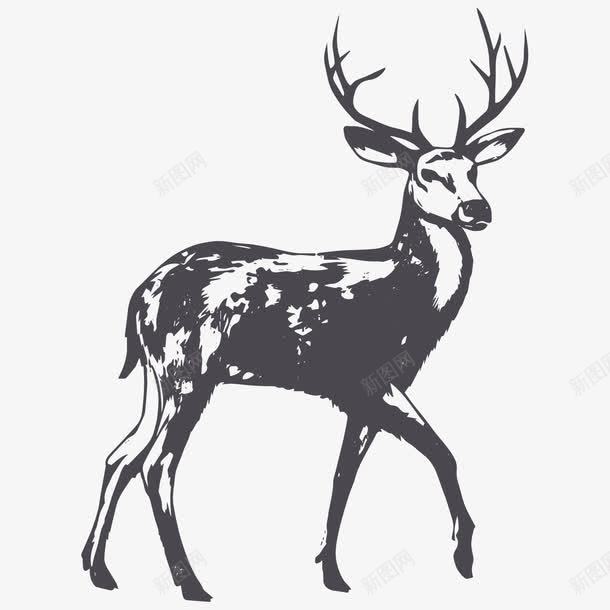 一只可爱的麋鹿素描画png免抠素材_88icon https://88icon.com 手绘图 犄角 素描画 野生动物 鹿角 麋鹿