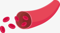 红色血管细胞矢量图素材