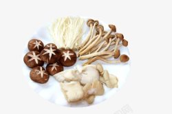 鲜菇火锅涮料菌类拼盘高清图片