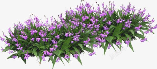 紫色园林花朵景观png免抠素材_88icon https://88icon.com 园林 景观 紫色 花朵