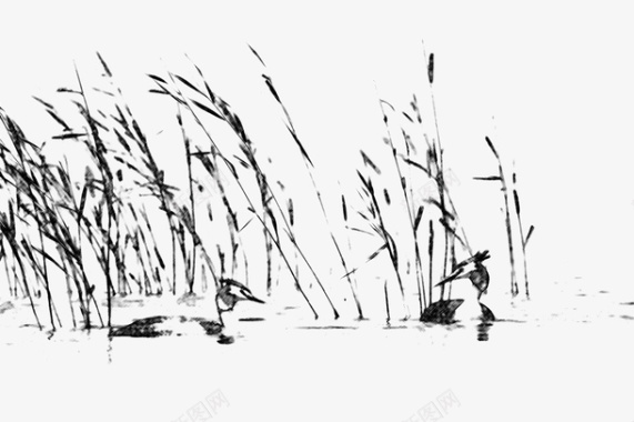 黑白简笔洗衣服芦苇荡河塘旁野鸭子素描绘画图标图标