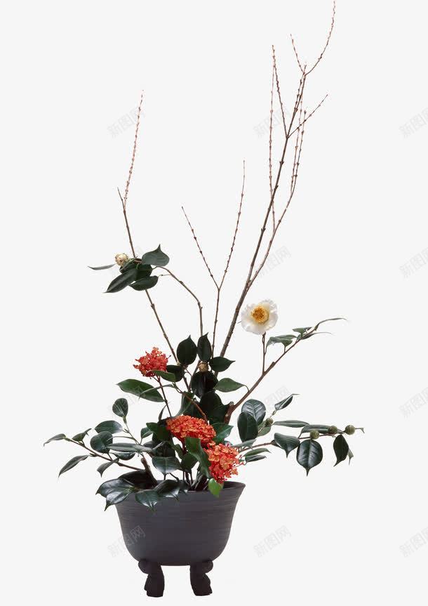 红色龙船花插花png免抠素材_88icon https://88icon.com 居家 红色 装饰 鲜花