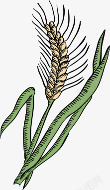 成熟麦穗绿色农作物麦穗手绘图图标图标
