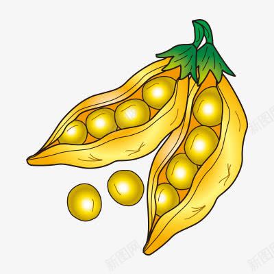金色黄豆豌豆png免抠素材_88icon https://88icon.com 卡通 手绘 豌豆 金色 黄豆 黄金