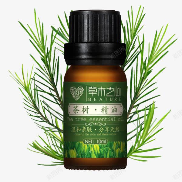 草木之心茶树精油png免抠素材_88icon https://88icon.com 浜搧瀹炵墿 精油包装盒 绮炬补 缇庡 鍖栧 鎶偆 鑽夋湪涔嬪績