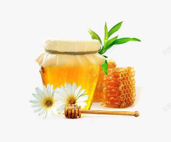 蜜蜂的蜂蜜罐png免抠素材_88icon https://88icon.com 白花 绿叶 蜂巢 蜂类 蜂蜜 蜂蜜罐 蜜糖罐