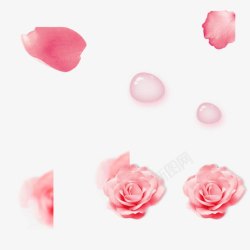 玫瑰精华乳花朵高清图片