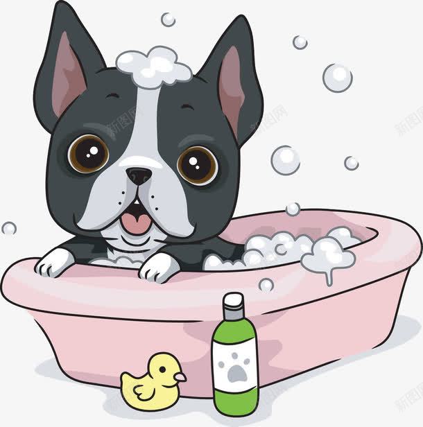 狗狗洗澡png免抠素材_88icon https://88icon.com 卡通 洗澡 浴缸 狗狗 趴在浴缸边