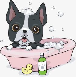 趴在浴缸边狗狗洗澡高清图片