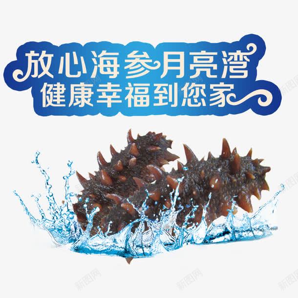 海参png免抠素材_88icon https://88icon.com 海产品 海参 海鲜 海鲜促销 纯野生 美味