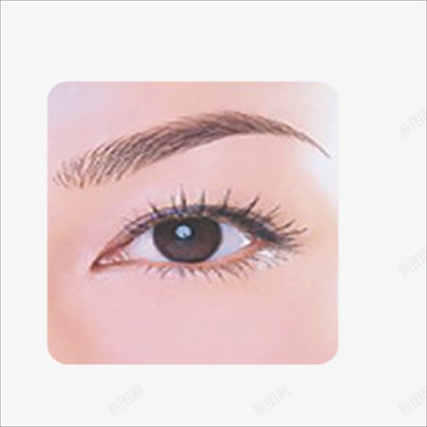 眉毛png免抠素材_88icon https://88icon.com 修眉 半永久修眉 眼睛 美容