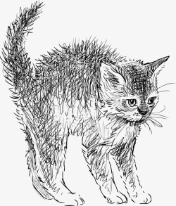 猫式动作手绘速写猫咪弓腰动作图形矢量图高清图片
